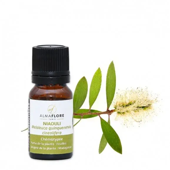 ALMAFLORE Huile essentielle de Niaouli 10 ml